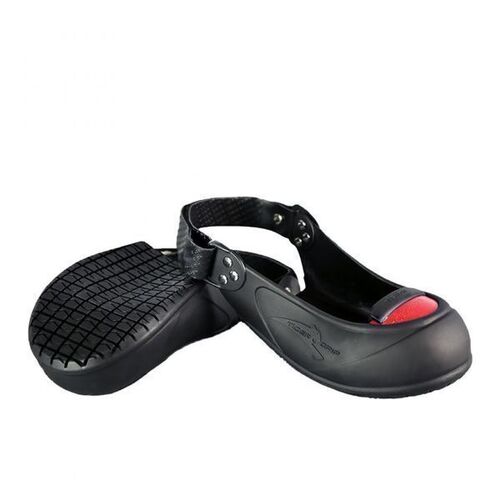 Coques VISITEUR