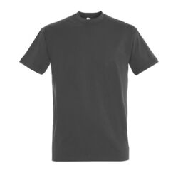 T-Shirt Homme Imperial POITIERS T-Shirt Homme Imperial POITIERS