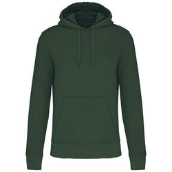 Sweat-shirt &agrave; capuche K4027 POITIERS