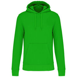 Sweat-shirt &agrave; capuche K4027 POITIERS