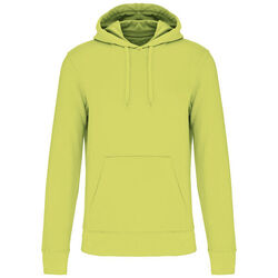 Sweat-shirt &agrave; capuche K4027 POITIERS