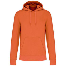 Sweat-shirt &agrave; capuche K4027 POITIERS