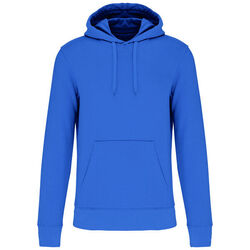 Sweat-shirt &agrave; capuche K4027 POITIERS