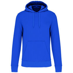 Sweat-shirt &agrave; capuche K4027 POITIERS