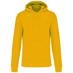 Sweat-shirt &agrave; capuche K4027 POITIERS