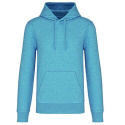 Sweat-shirt &agrave; capuche K4027 CLOUDY BLUE HEATHER POITIERS