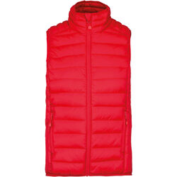 Bodywarmer Homme Doudoune L&eacute;g&egrave;re POITIERS
