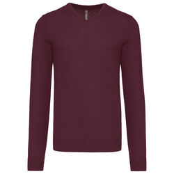 Pull homme V-NECK POITIERS