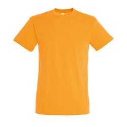 T-SHIRT MC H REGENT POITIERS