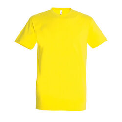 T-Shirt Homme Imperial POITIERS
